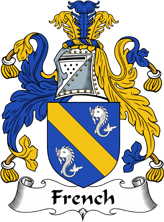 French Coat of Arms