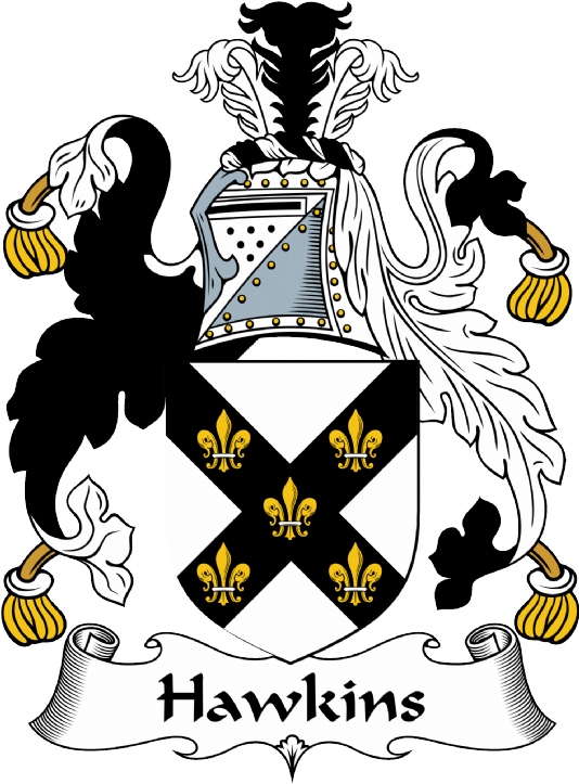 Hawkins Coat of Arms