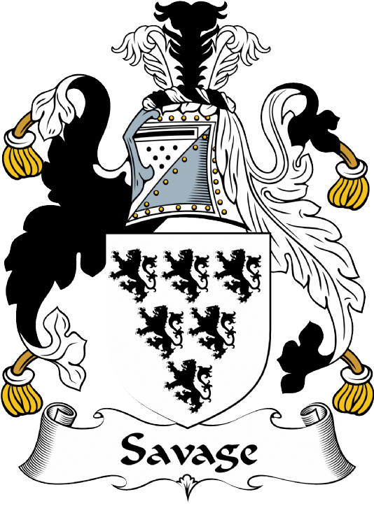 Savage Coat of Arms