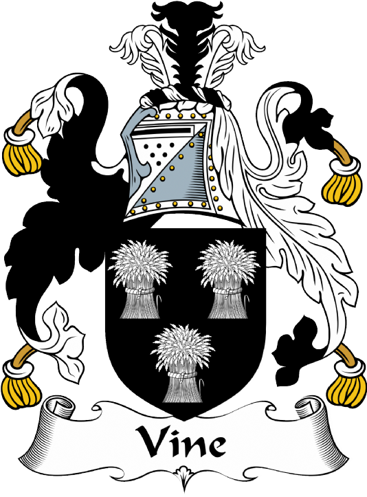 Vine Coat of Arms