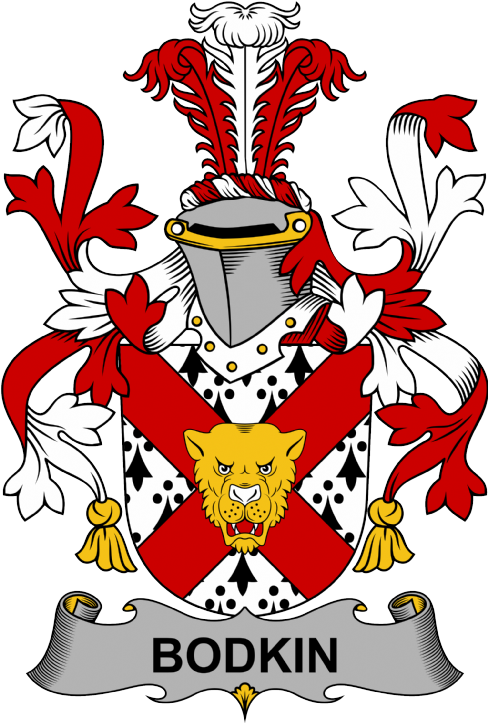 Bodkin Coat of Arms