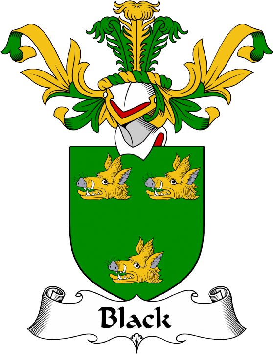 Black Coat of Arms