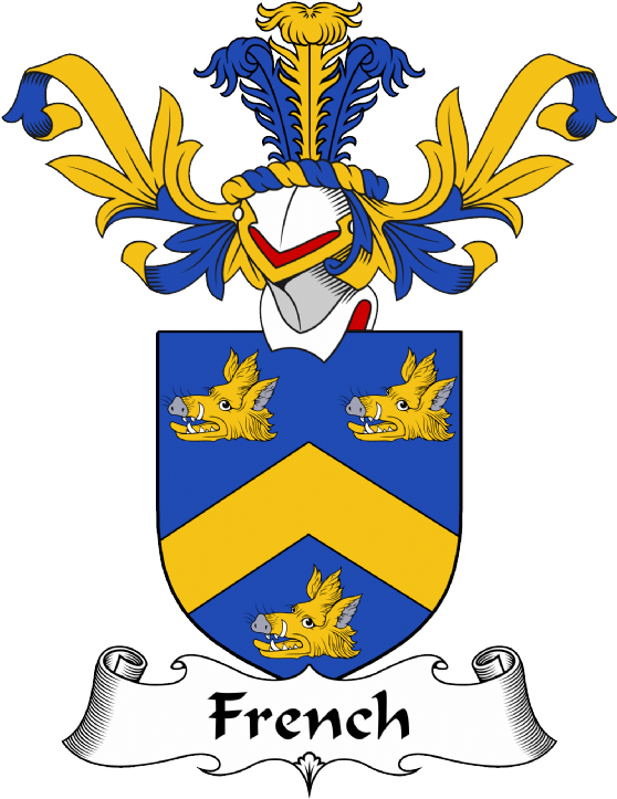 French Coat of Arms